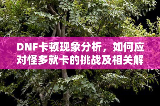 如何应对怪多就卡的挑战及相关解决方案图片