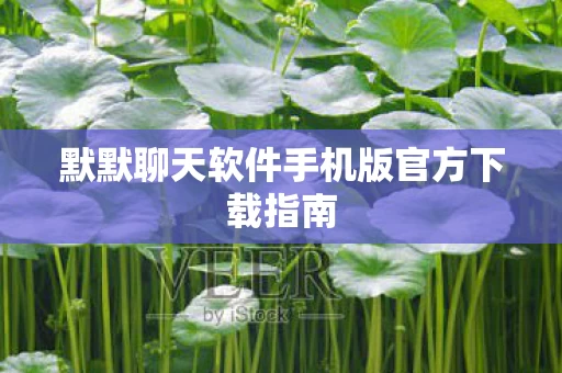 默默聊天软件手机版官方下载指南图片