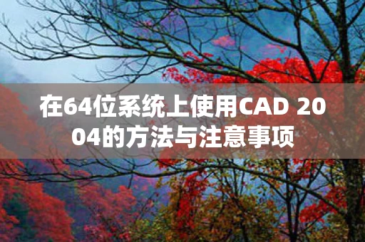 在64位系统上使用CAD 2004的方法与注意事项图片