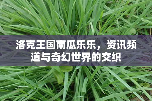 资讯频道与奇幻世界的交织图片