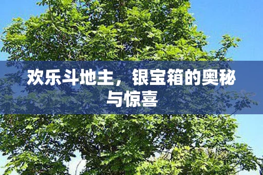 银宝箱的奥秘与惊喜图片