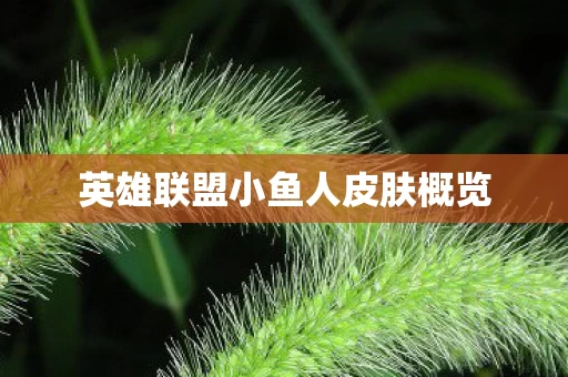 英雄联盟小鱼人皮肤概览图片