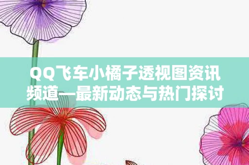 QQ飞车小橘子透视图资讯频道图片