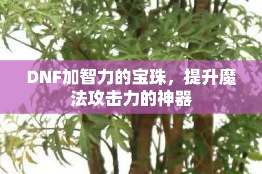 提升魔法攻击力的神器图片