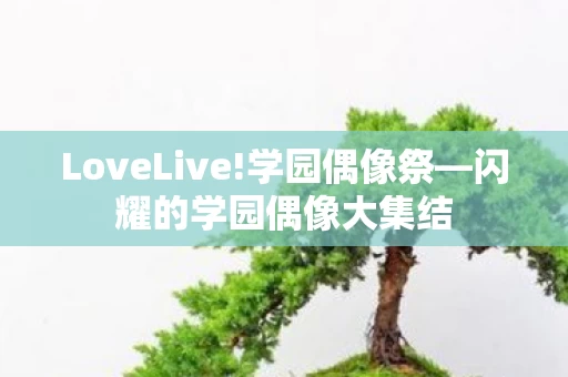 闪耀的学园偶像大集结图片
