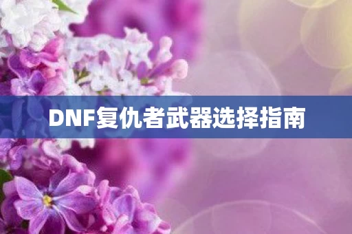 DNF复仇者武器选择指南图片