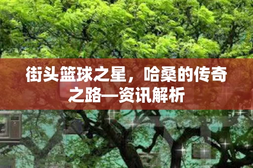 哈桑的传奇之路图片