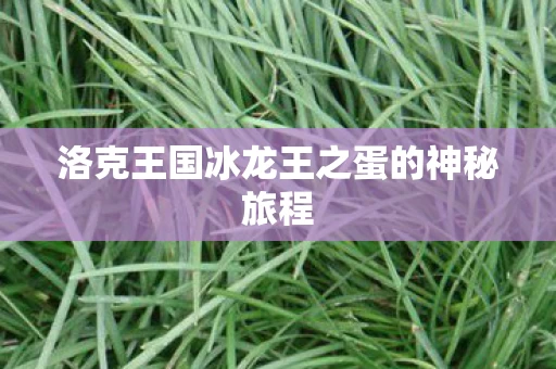 洛克王国冰龙王之蛋的神秘旅程图片