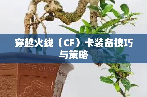 卡装备技巧与策略图片