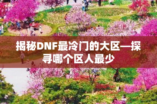 揭秘DNF最冷门的大区图片