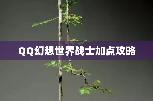 QQ幻想世界战士加点攻略图片