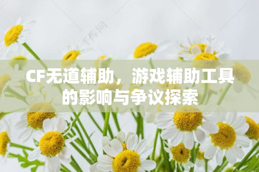 游戏辅助工具的影响与争议探索图片