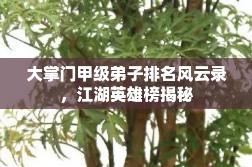 大掌门甲级弟子排名风云录图片