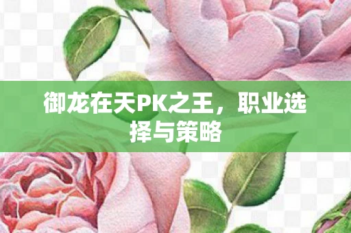 御龙在天PK之王图片