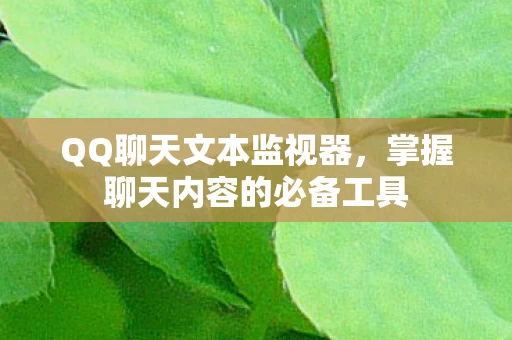掌握聊天内容的必备工具图片