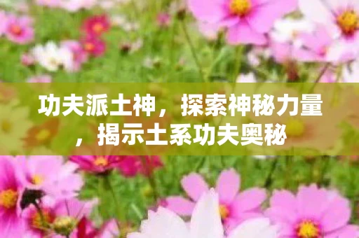 揭示土系功夫奥秘图片