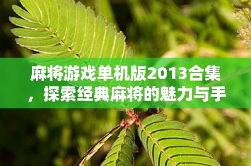 探索经典麻将的魅力与手机新体验图片