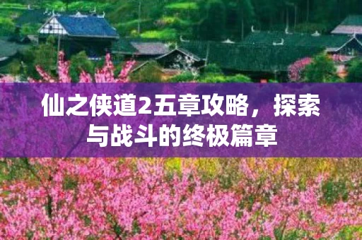 探索与战斗的终极篇章图片