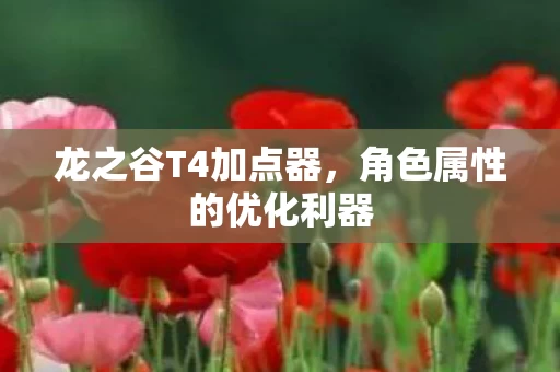 角色属性的优化利器图片