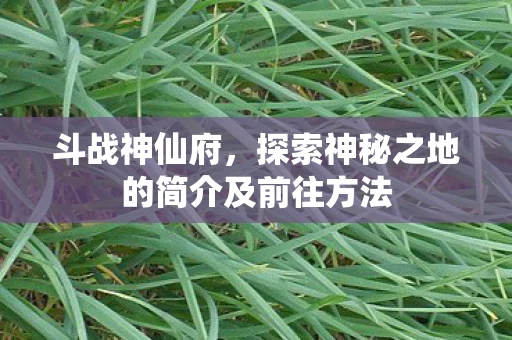 探索神秘之地的简介及前往方法图片