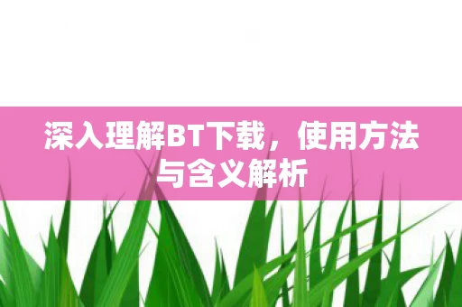 使用方法与含义解析图片