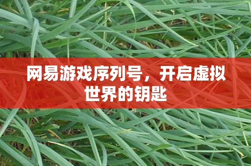 开启虚拟世界的钥匙图片