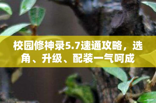 校园修神录5图片