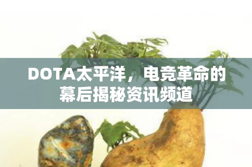 电竞革命的幕后揭秘资讯频道图片