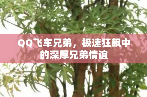 极速狂飙中的深厚兄弟情谊图片