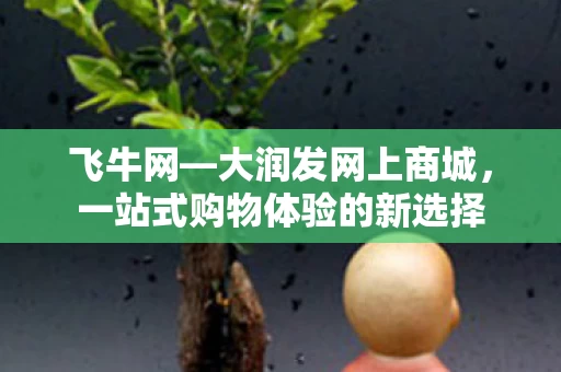 一站式购物体验的新选择图片
