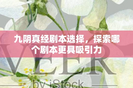 探索哪个剧本更具吸引力图片