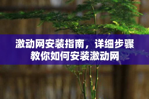 详细步骤教你如何安装激动网图片