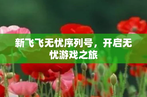 新飞飞无忧序列号图片