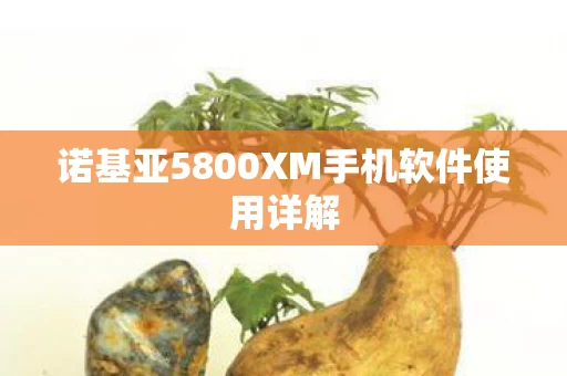 诺基亚5800XM手机软件使用详解图片