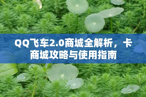 卡商城攻略与使用指南图片