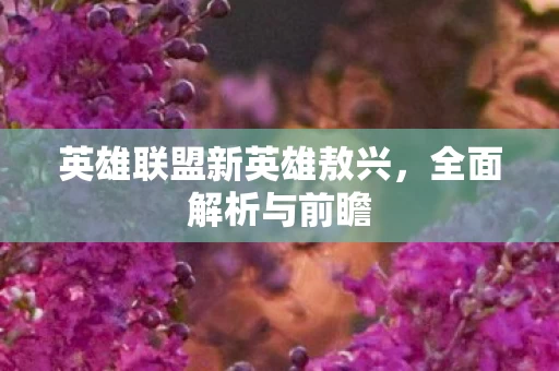 英雄联盟新英雄敖兴图片