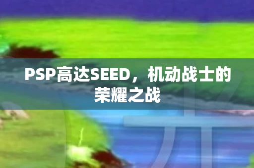 PSP高达SEED图片