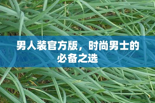 时尚男士的必备之选图片