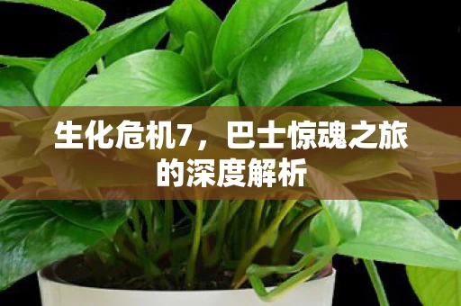 巴士惊魂之旅的深度解析图片