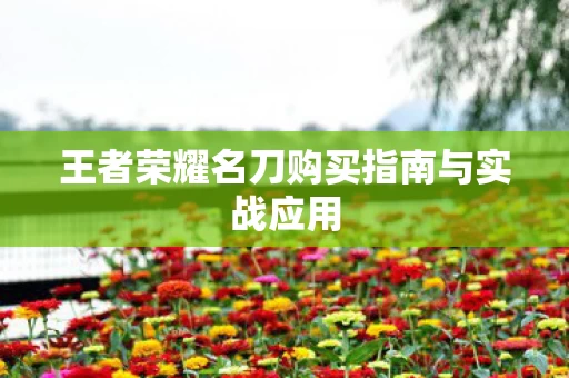 王者荣耀名刀购买指南与实战应用图片