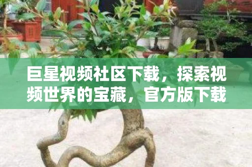 探索视频世界的宝藏图片