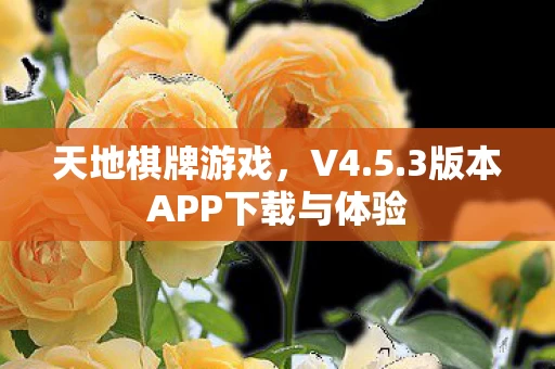 3版本APP下载与体验图片