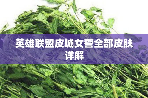 英雄联盟皮城女警全部皮肤详解图片