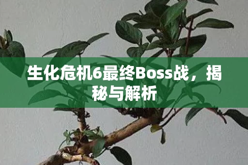 生化危机6最终Boss战图片