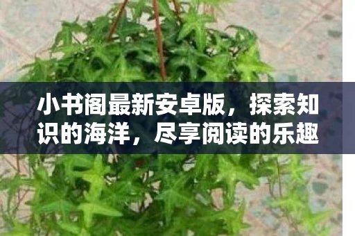小书阁最新安卓版图片