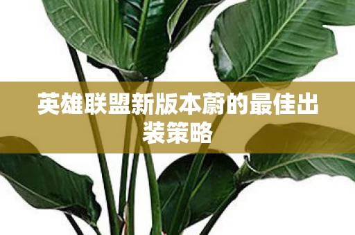 英雄联盟新版本蔚的最佳出装策略图片