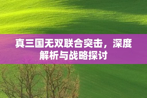 真三国无双联合突击图片