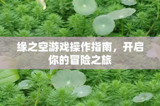 缘之空游戏操作指南图片