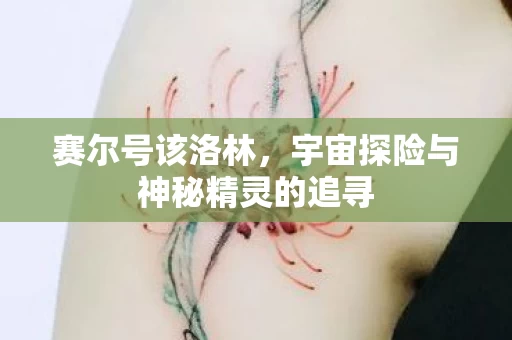 宇宙探险与神秘精灵的追寻图片