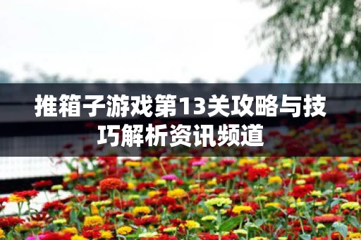 推箱子游戏第13关攻略与技巧解析资讯频道图片